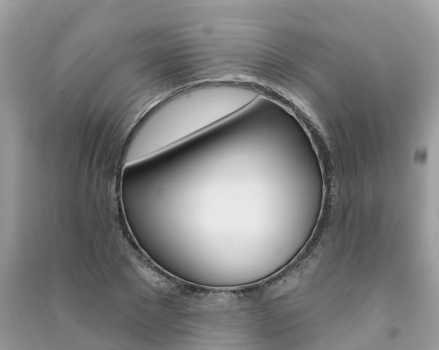 X0000091290881200708101023