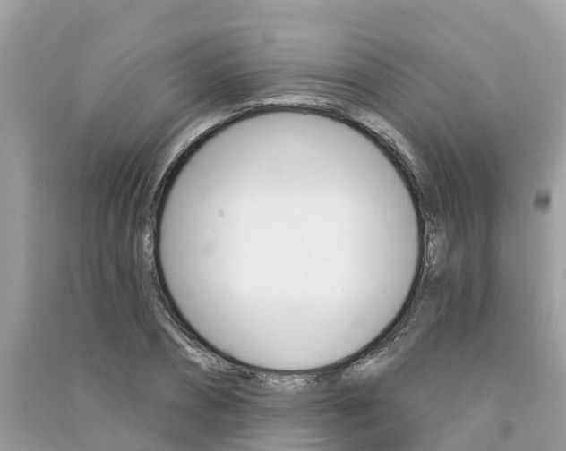 X0000091290882200708101023