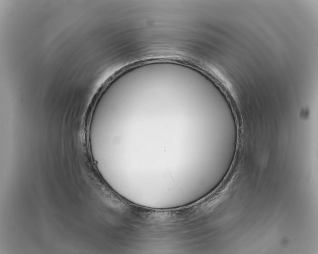 X0000091290883200708101023