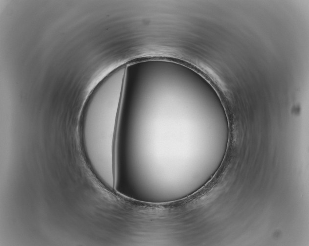 X0000091290885200708101023