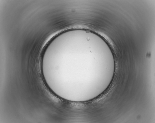 X0000091290886200708101023
