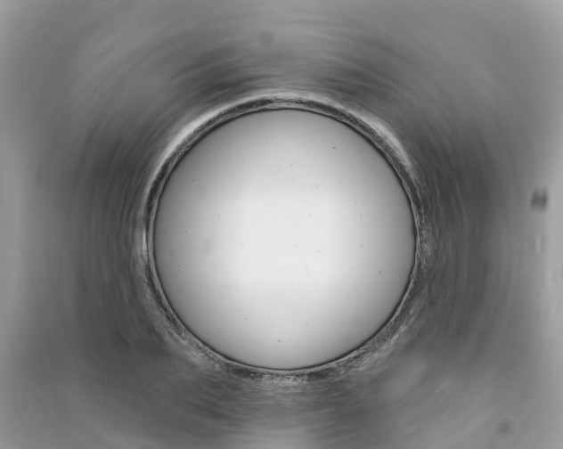 X0000091290887200708101023