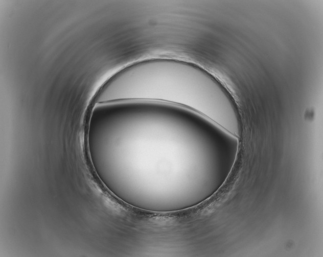 X0000091290888200708101023