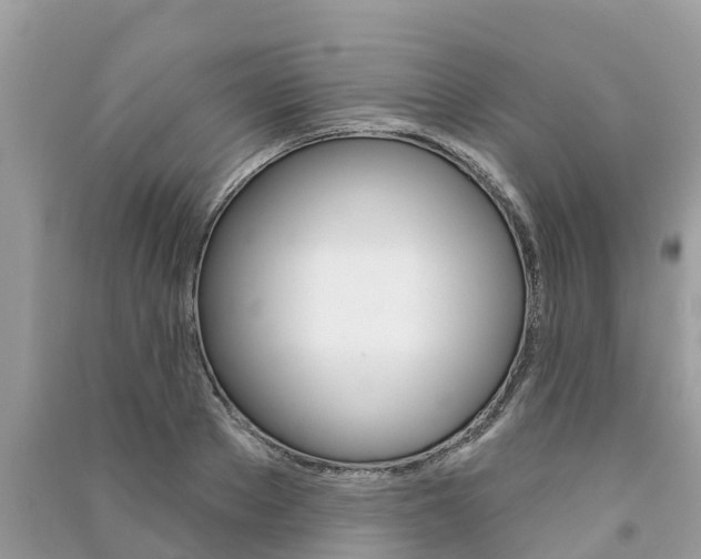 X0000091290889200708101023