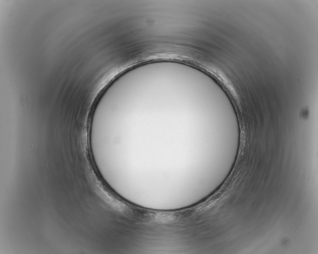 X0000091290890200708101023