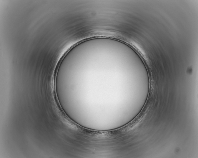 X0000091290891200708101023