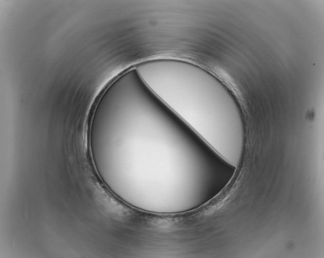 X0000091290892200708101023
