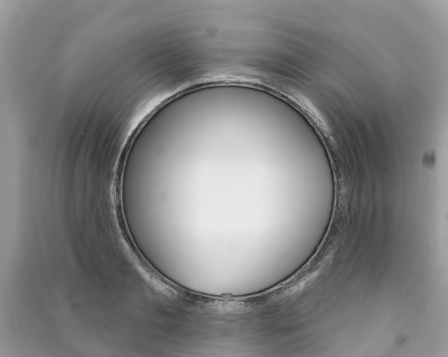 X0000091290893200708101023