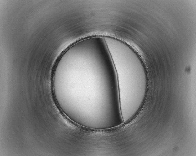 X0000091290894200708101023