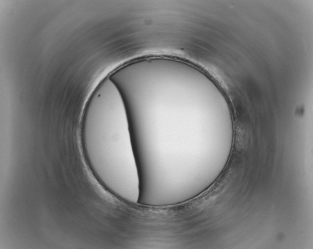 X0000091290895200708101023