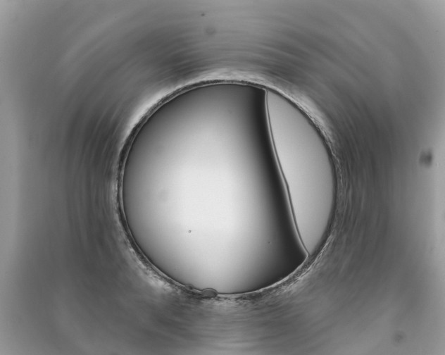 X0000091290896200708101023