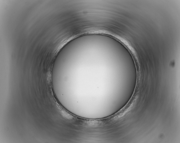 X0000091290897200708101023
