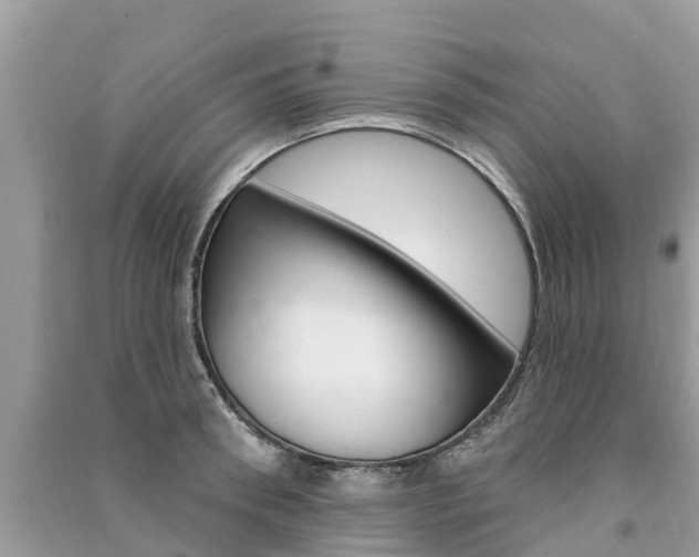 X0000091290898200708101023