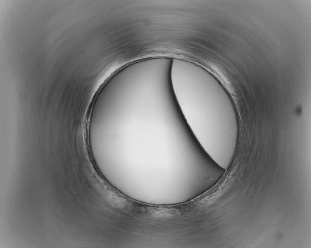 X0000091290899200708101023
