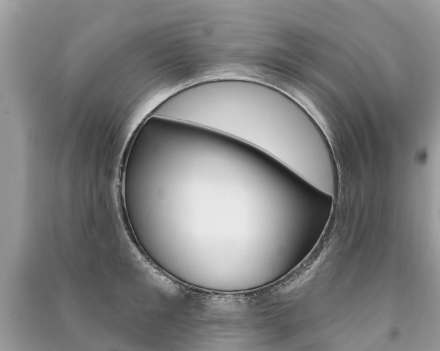 X0000091290901200708101023