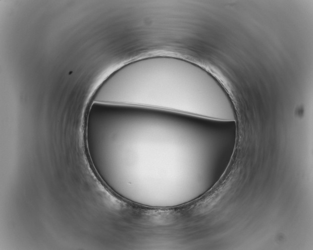 X0000091290902200708101023