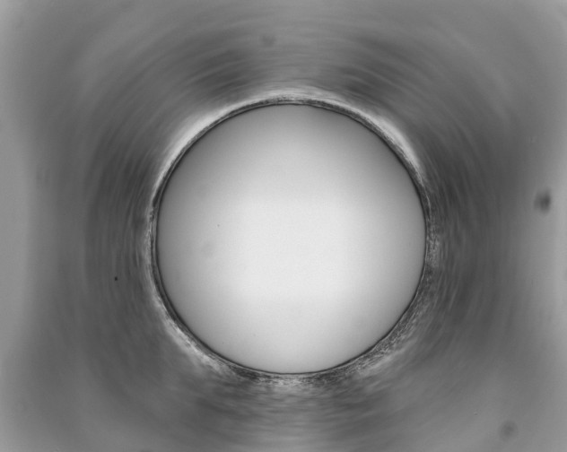 X0000091290903200708101023