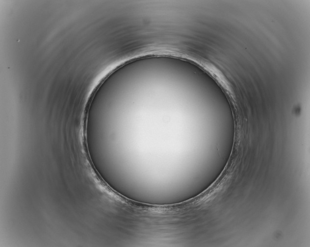 X0000091290904200708101023