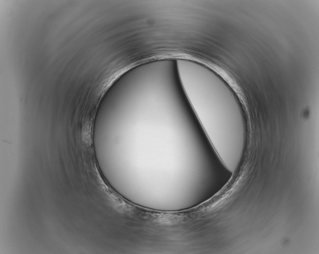 X0000091290905200708101023