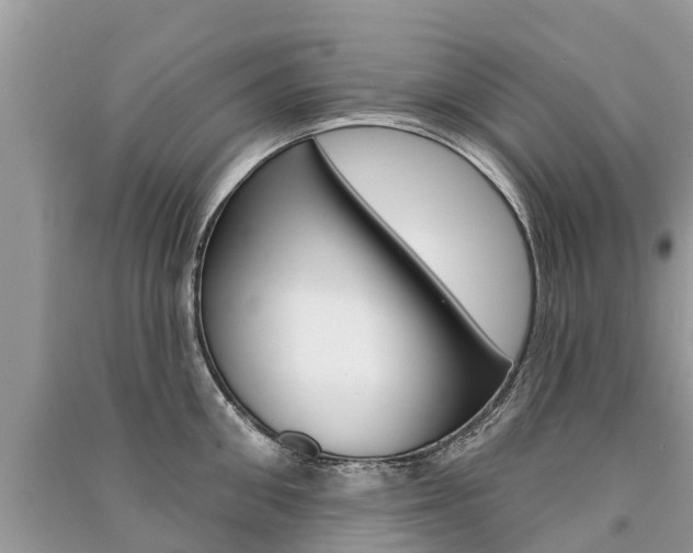 X0000091290906200708101023