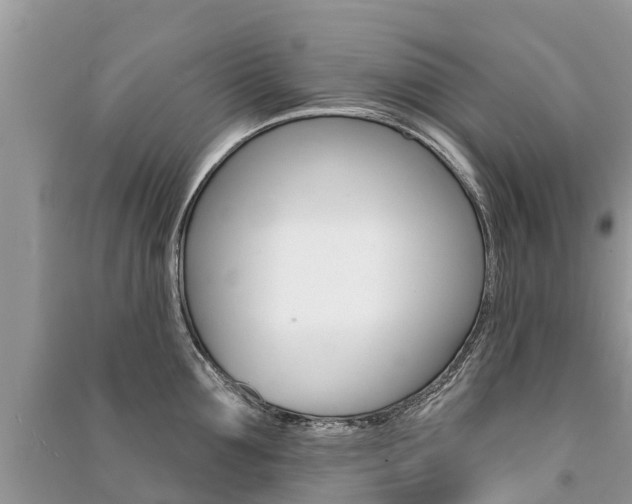 X0000091290907200708101023