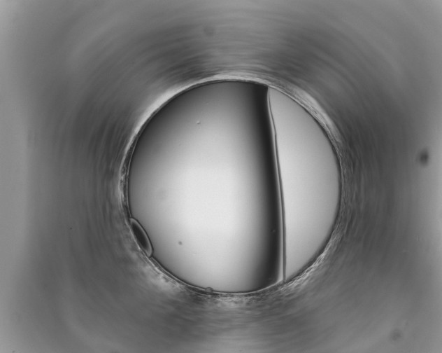 X0000091290908200708101023