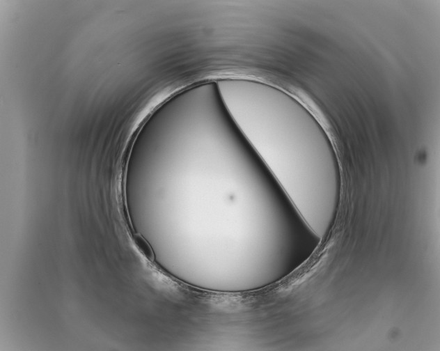 X0000091290909200708101023
