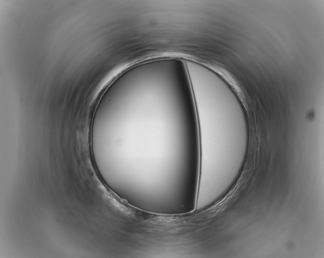 X0000091290910200708101023