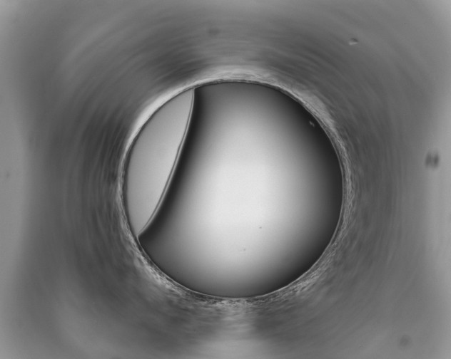 X0000091290912200708101023