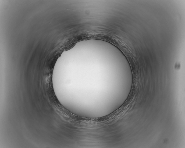 X0000091290914200708101022