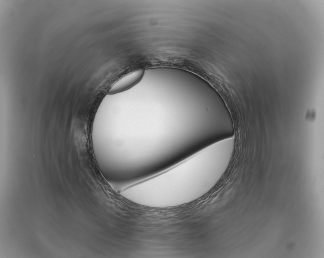 X0000091290915200708101022