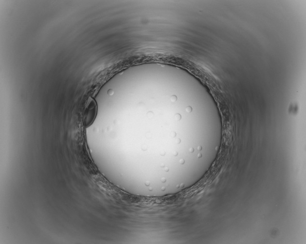 X0000091290917200708101022