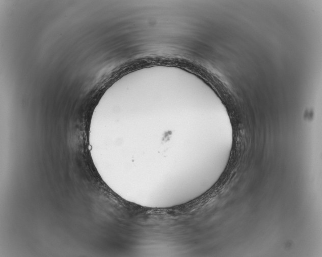 X0000091290918200708101022
