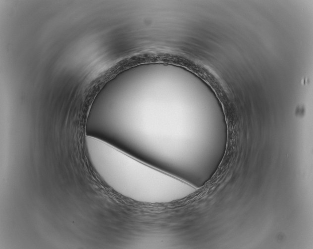 X0000091290919200708101022