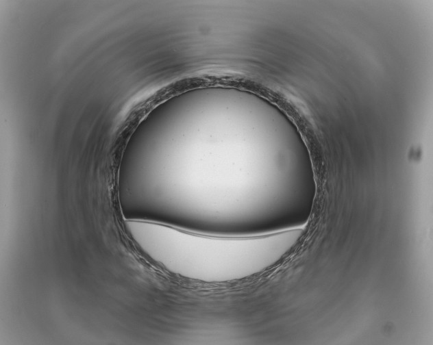 X0000091290920200708101022