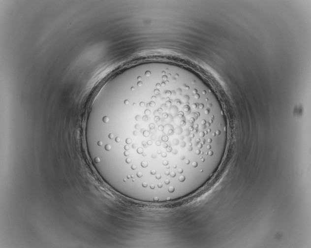X0000091290921200708101023