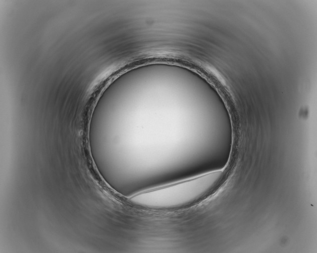 X0000091290922200708101023