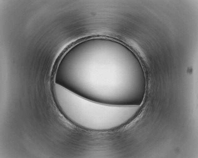 X0000091290924200708101023
