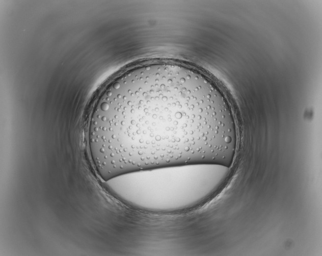 X0000091290925200708101023