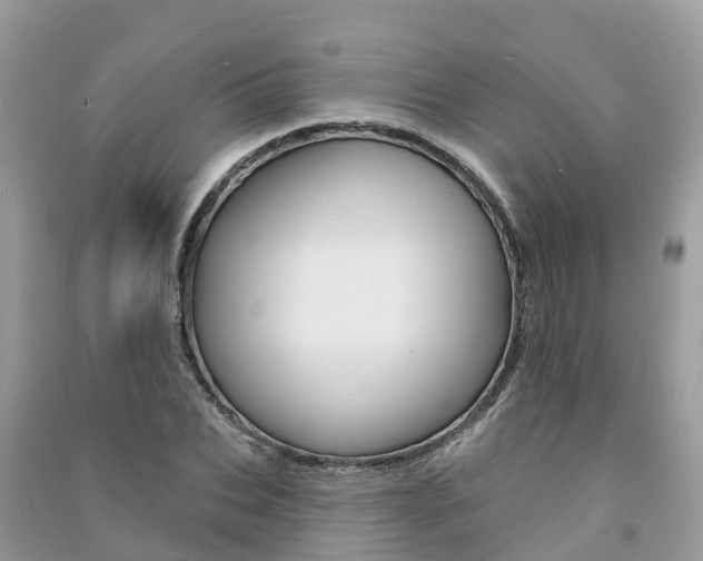 X0000091290927200708101023