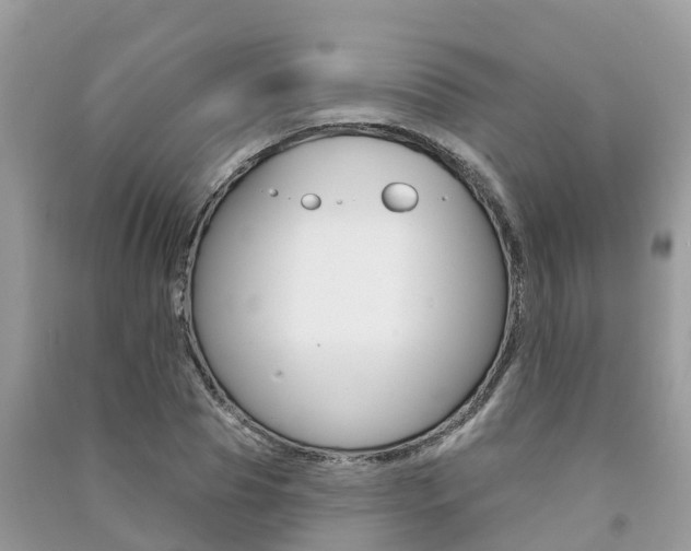 X0000091290929200708101023