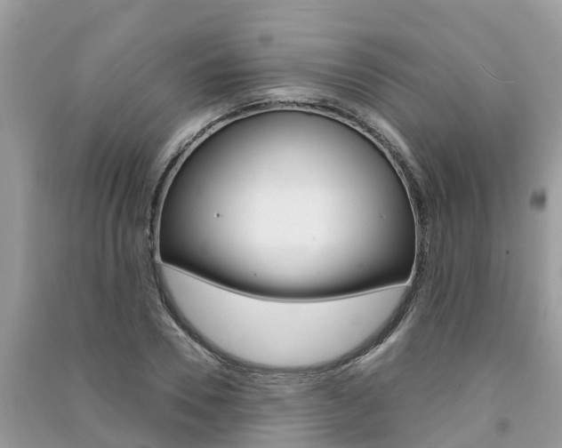 X0000091290930200708101023