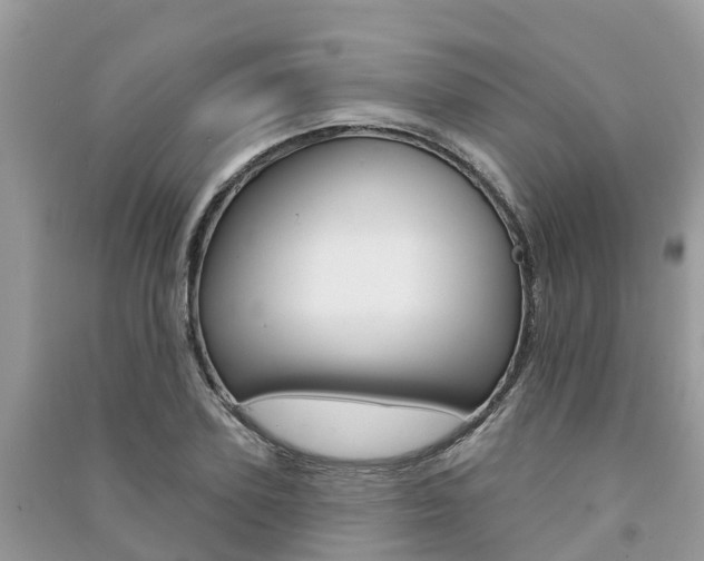 X0000091290931200708101023