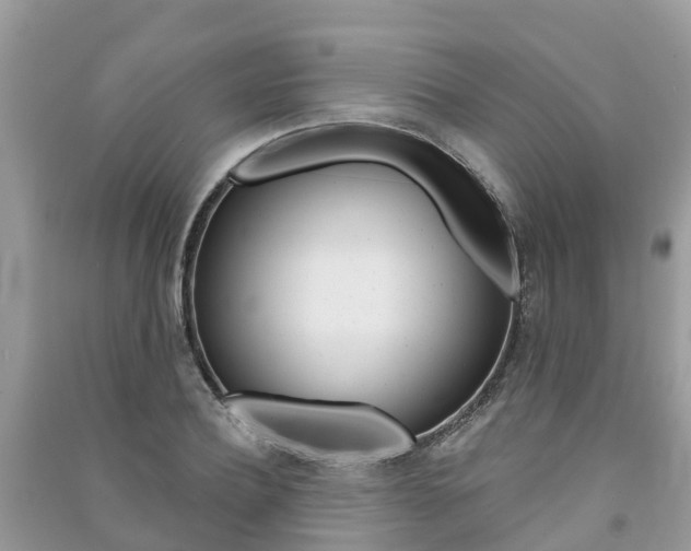 X0000091290932200708101023