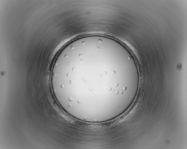 X0000091290933200708101023
