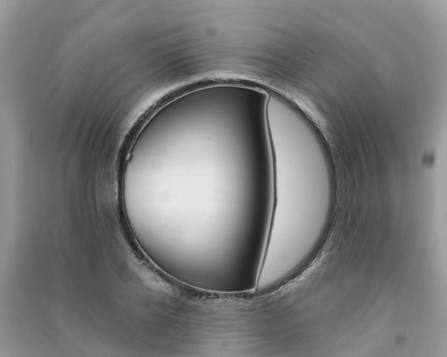 X0000091290934200708101023