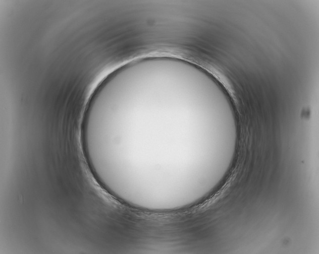 X0000091290936200708101023