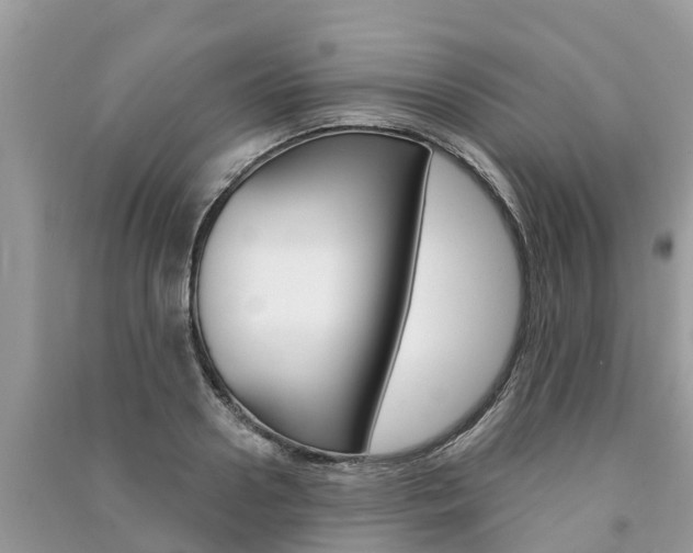 X0000091290938200708101023