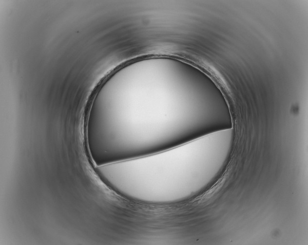 X0000091290939200708101023