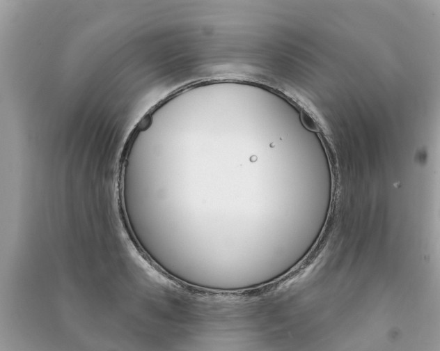 X0000091290941200708101023